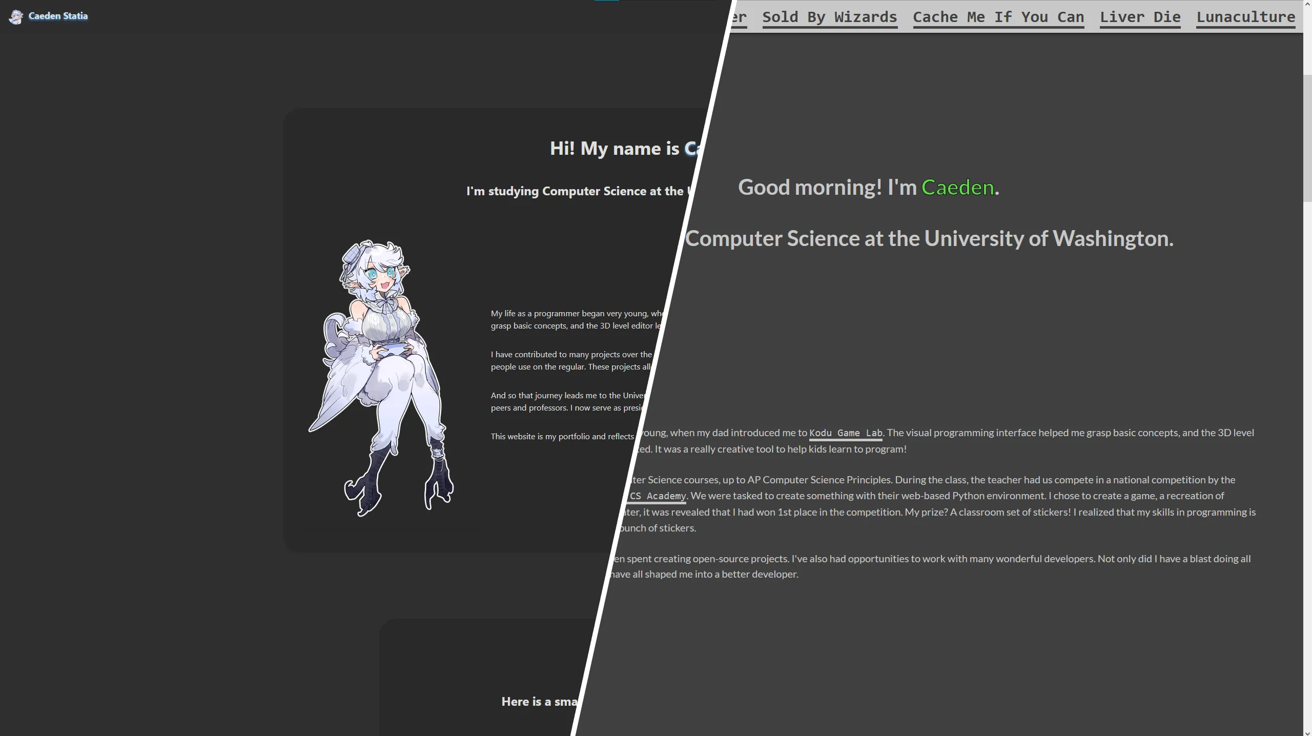 Comparison image of my current website (left) and older portfolio website (right)